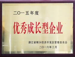 優(yōu)秀成長(zhǎng)型企業(yè)
